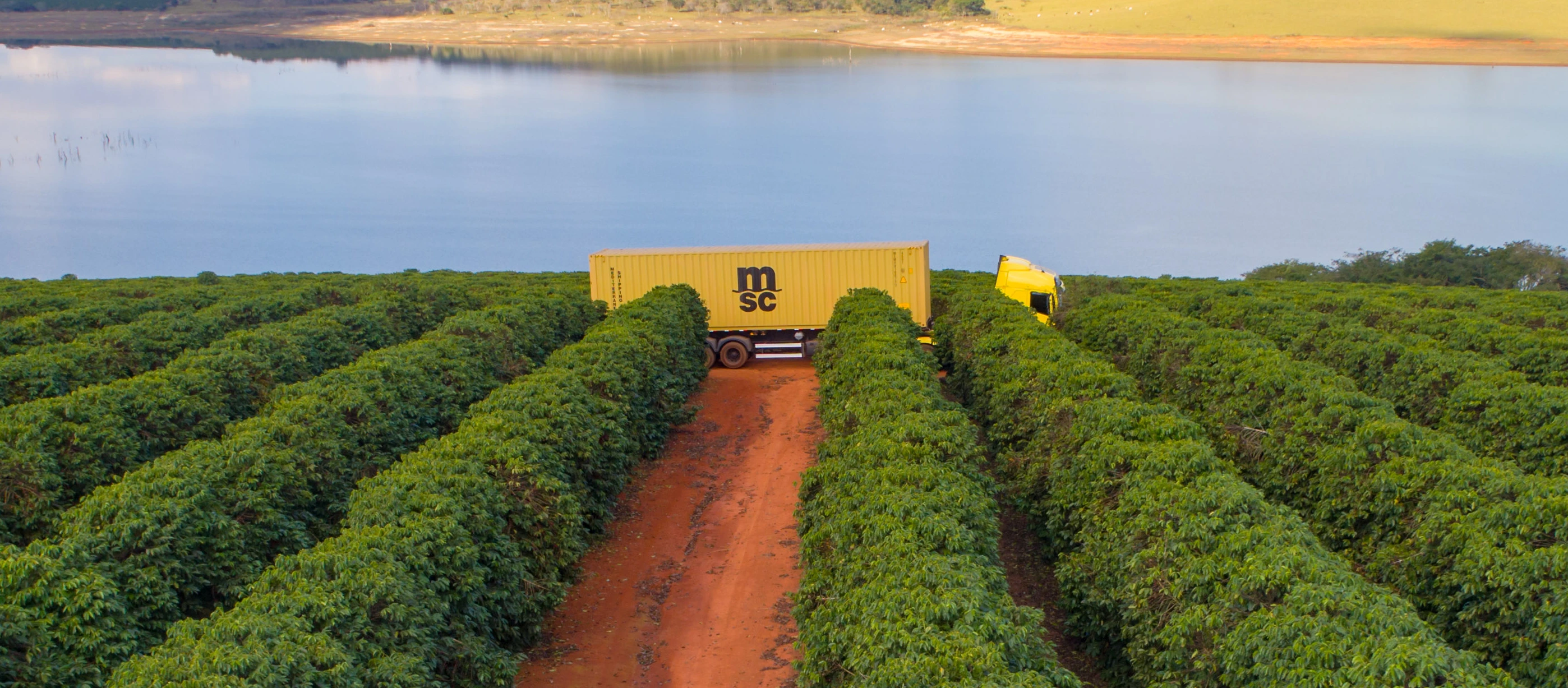 Truck with MSC dry container passing by coffee farm
