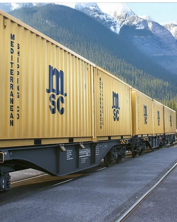 MSC dry containers on train 