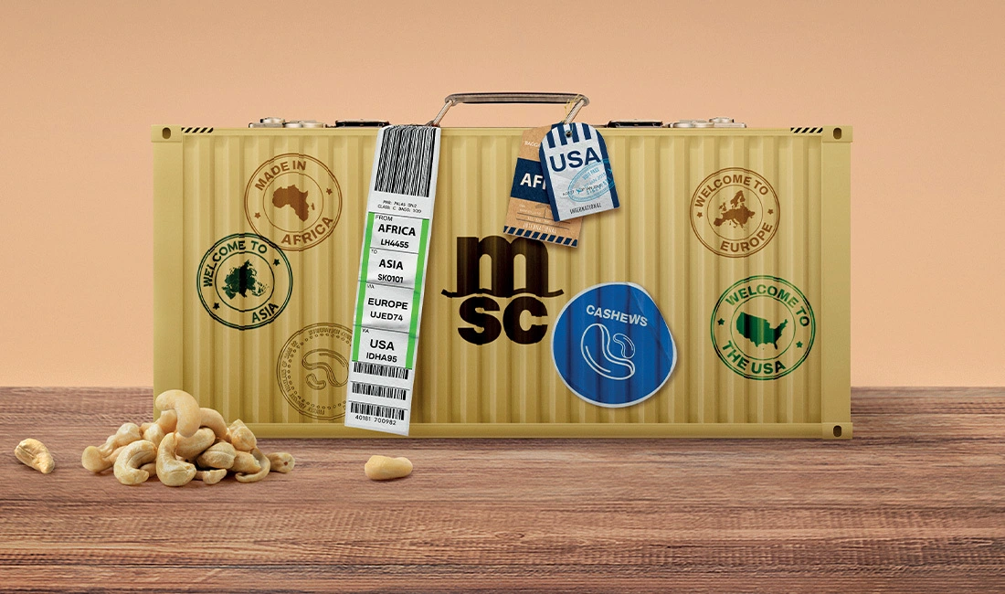 Cashew campaign external news