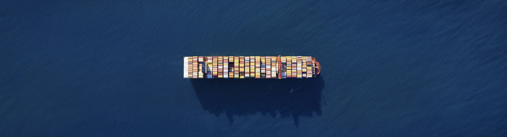 MSC Tessa
